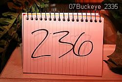 07Buckeye_2335 thumbnail