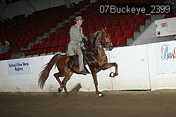 07Buckeye_2399 thumbnail