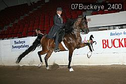 07Buckeye_2400 thumbnail