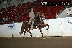 07Buckeye_2404 thumbnail