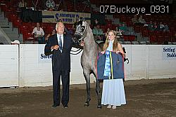 07Buckeye_0931 thumbnail