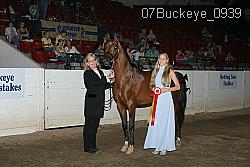 07Buckeye_0939 thumbnail