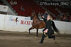 07Buckeye_0942 thumbnail