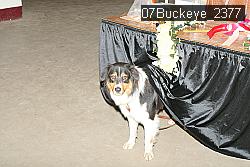 07Buckeye_2377 thumbnail