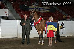 07Buckeye_0995 thumbnail