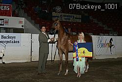 07Buckeye_1001 thumbnail