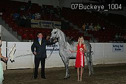 07Buckeye_1004 thumbnail