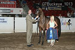 07Buckeye_1013 thumbnail