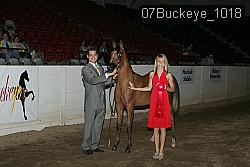 07Buckeye_1018 thumbnail