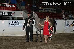 07Buckeye_1020 thumbnail