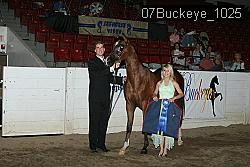 07Buckeye_1025 thumbnail