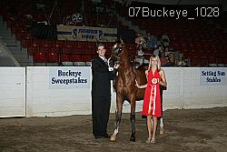 07Buckeye_1028 thumbnail