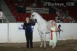 07Buckeye_1030 thumbnail