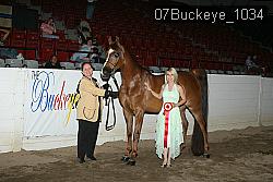07Buckeye_1034 thumbnail