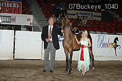 07Buckeye_1040 thumbnail