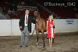 07Buckeye_1042 thumbnail