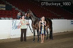 07Buckeye_1660 thumbnail