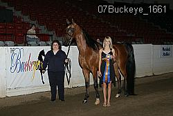 07Buckeye_1661 thumbnail