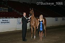 07Buckeye_1666 thumbnail