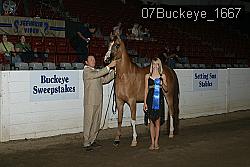 07Buckeye_1667 thumbnail