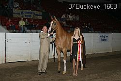 07Buckeye_1668 thumbnail