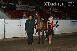 07Buckeye_1673 thumbnail