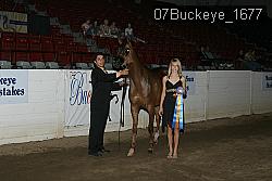 07Buckeye_1677 thumbnail