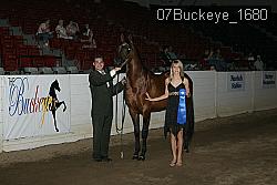 07Buckeye_1680 thumbnail