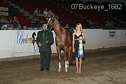 07Buckeye_1682 thumbnail