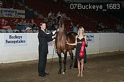 07Buckeye_1683 thumbnail