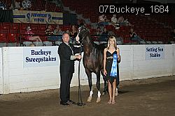 07Buckeye_1684 thumbnail