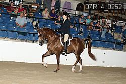 07R14_0252 thumbnail