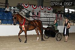 07R14_0567 thumbnail
