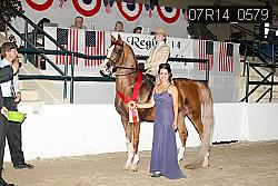 07R14_0579 thumbnail