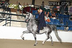 07R14_0726 thumbnail