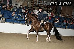 07R14_0786 thumbnail
