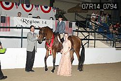 07R14_0794 thumbnail