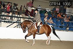 07R14_1066 thumbnail