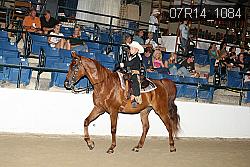 07R14_1084 thumbnail