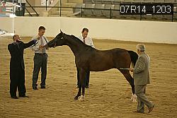 07R14_1203 thumbnail