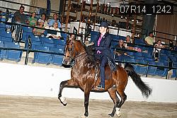 07R14_1242 thumbnail