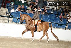 07R14_1291 thumbnail