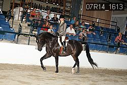 07R14_1613 thumbnail