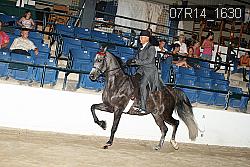 07R14_1630 thumbnail