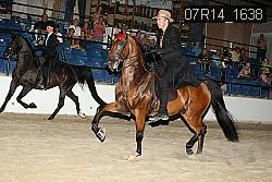 07R14_1638 thumbnail