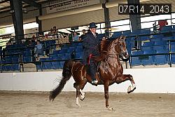 07R14_2043 thumbnail