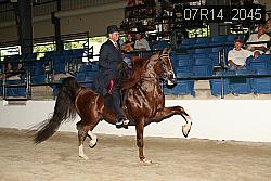 07R14_2045 thumbnail