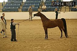 07R14_1061 thumbnail