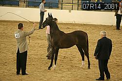 07R14_2081 thumbnail