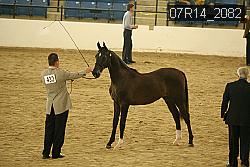 07R14_2082 thumbnail